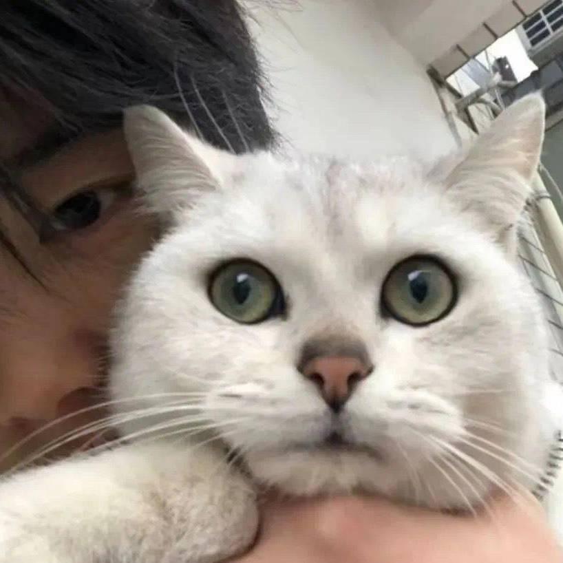 失眠只一次