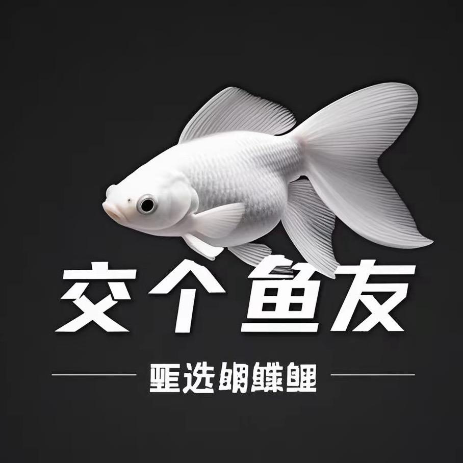 交个鱼友甄选（蝴蝶鲤）