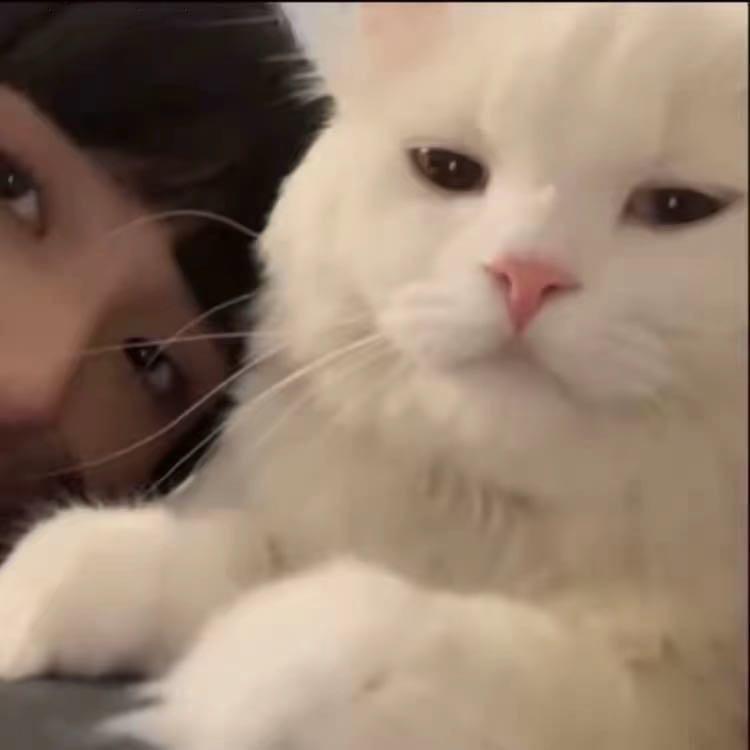 欣.