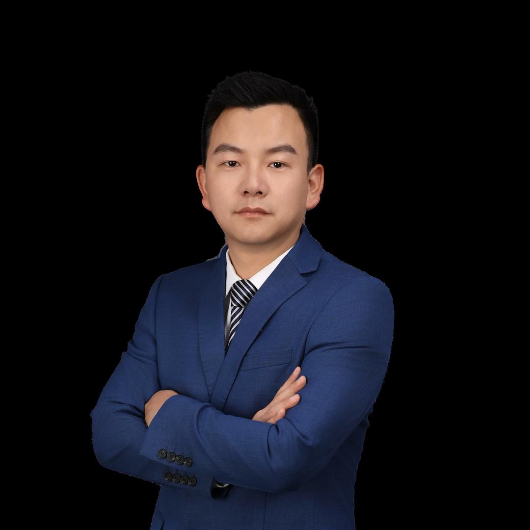龙头炒家📈