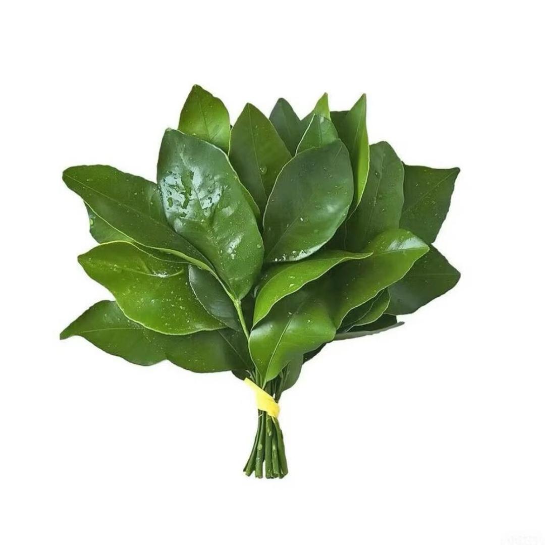话说三遍淡如水