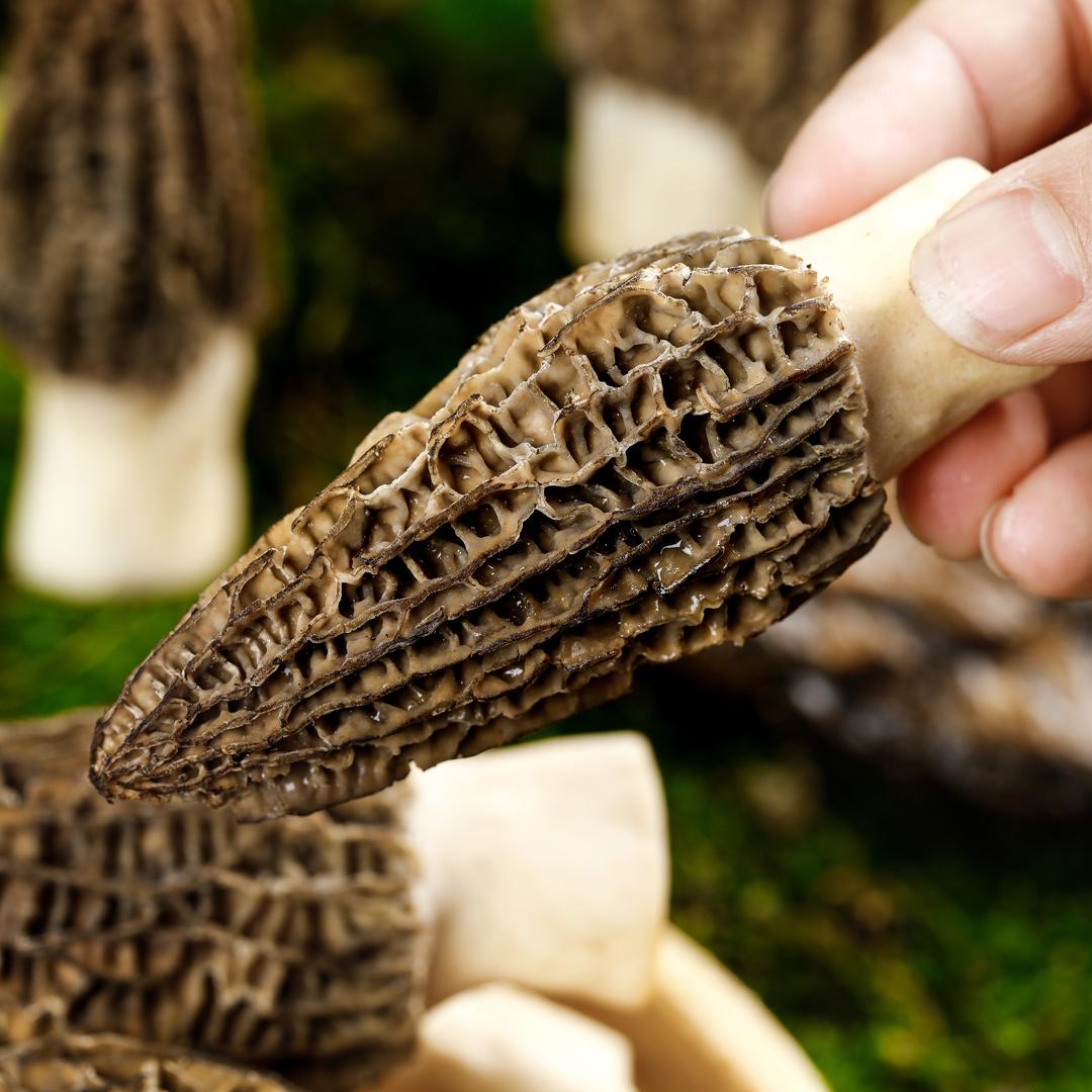 李拉卡的山货铺子−主号