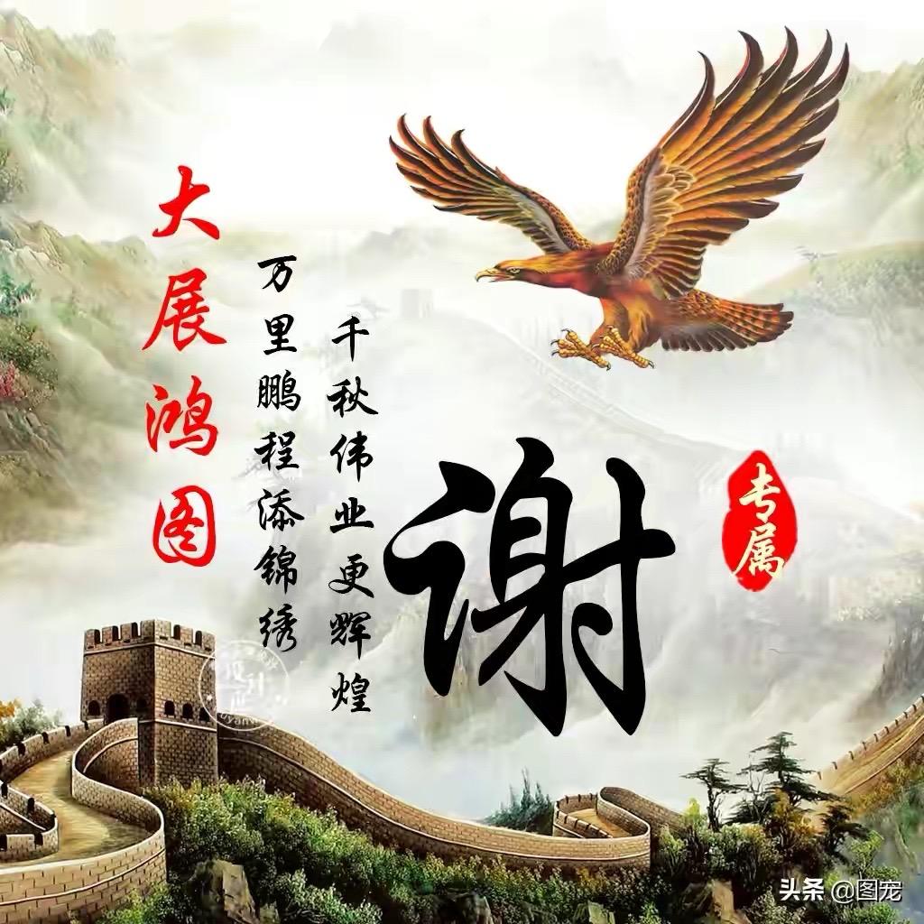 感谢相遇
