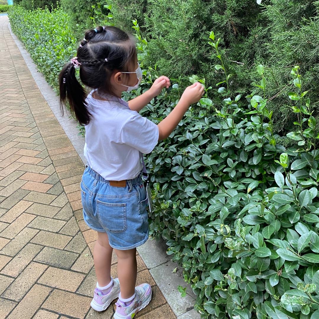 🌸喆妈