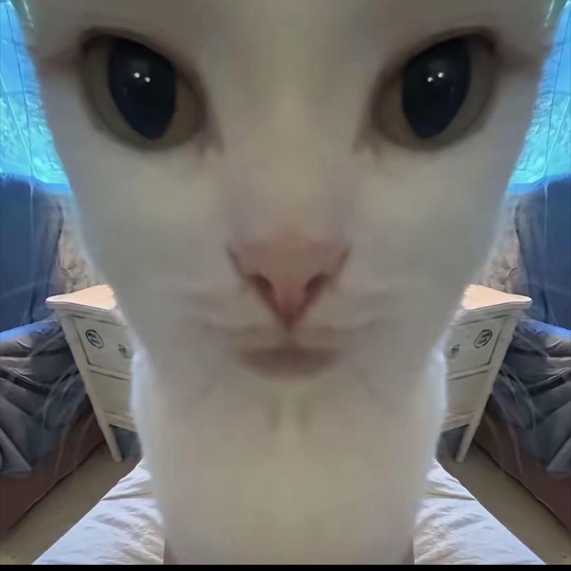 悲伤叽叽痛。  （小力奶奶