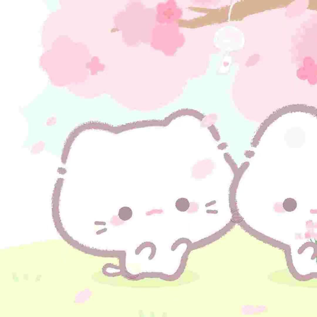 没时间见面