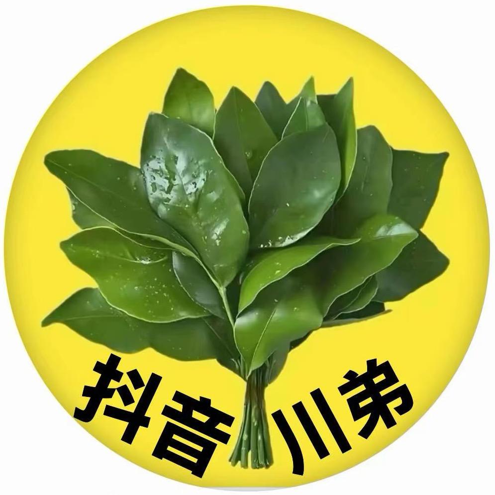 王者荣耀（川弟）