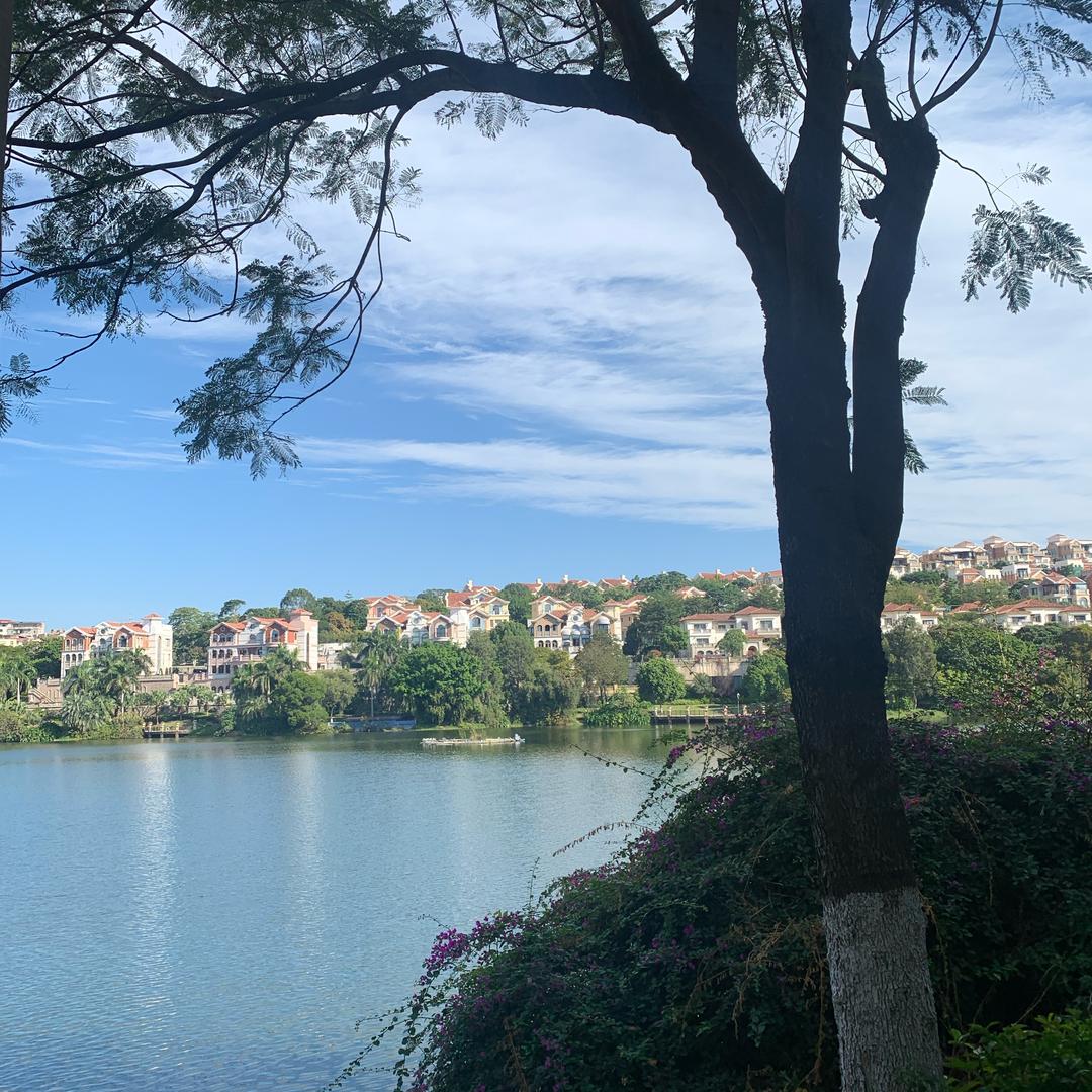 不喝咖啡的钟无艳