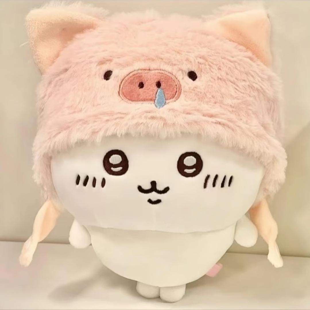 爱流浪的猫