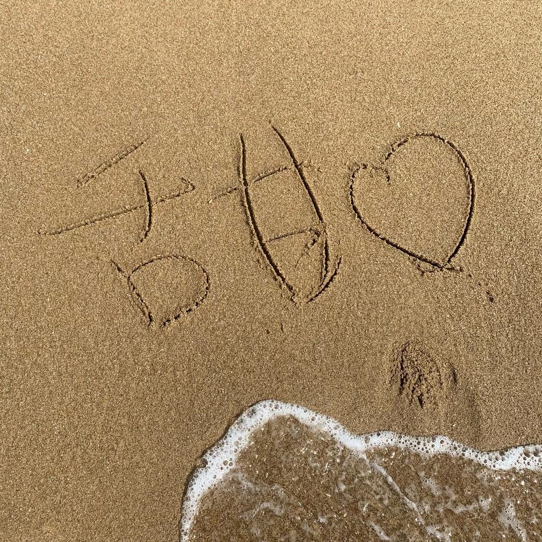 Che老师要好好学习