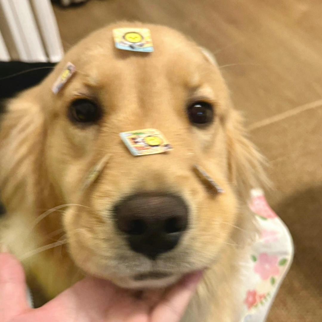 CccCccJ-oji