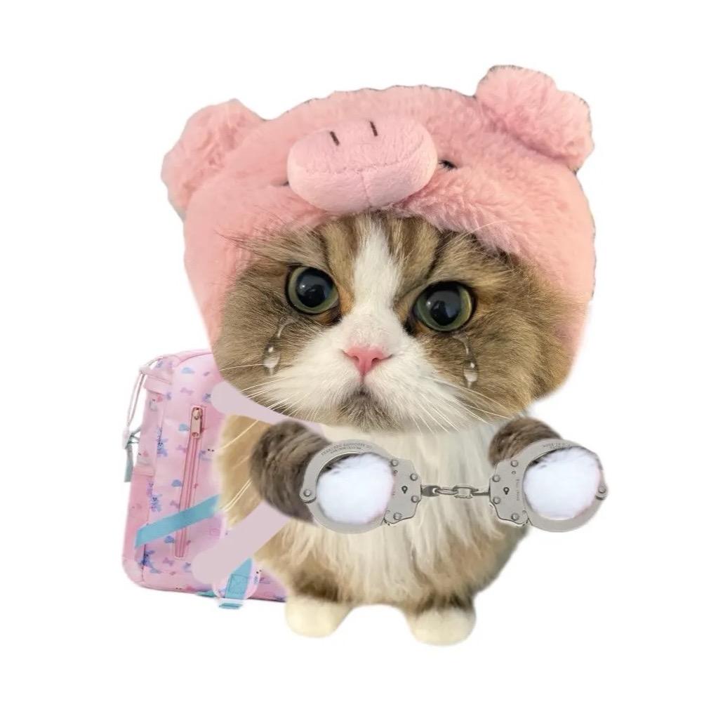 ✈︎ ☻ ♥︎ ♡