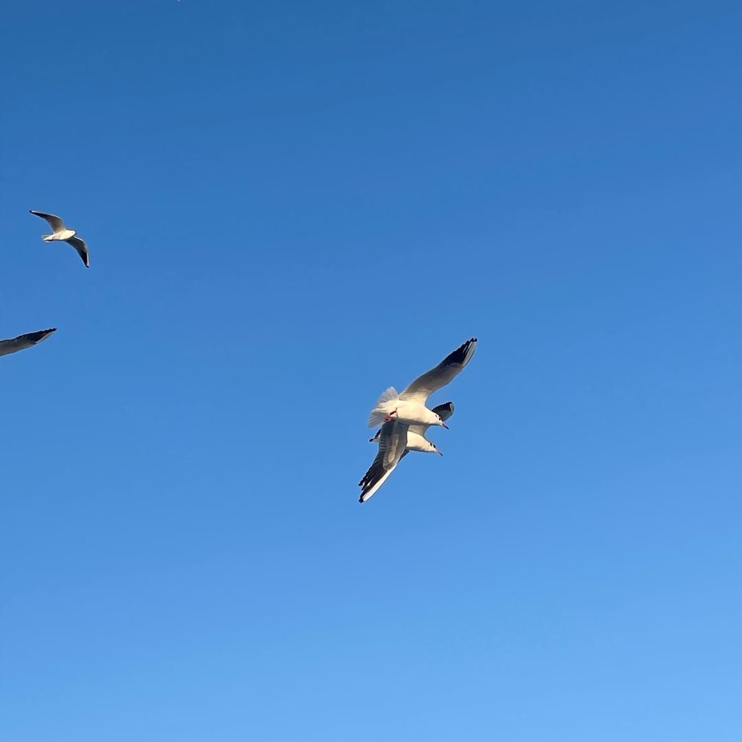 静空