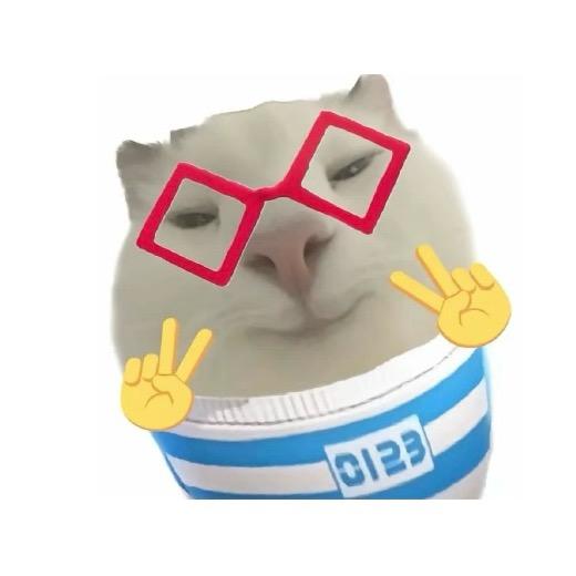 蝉一叫