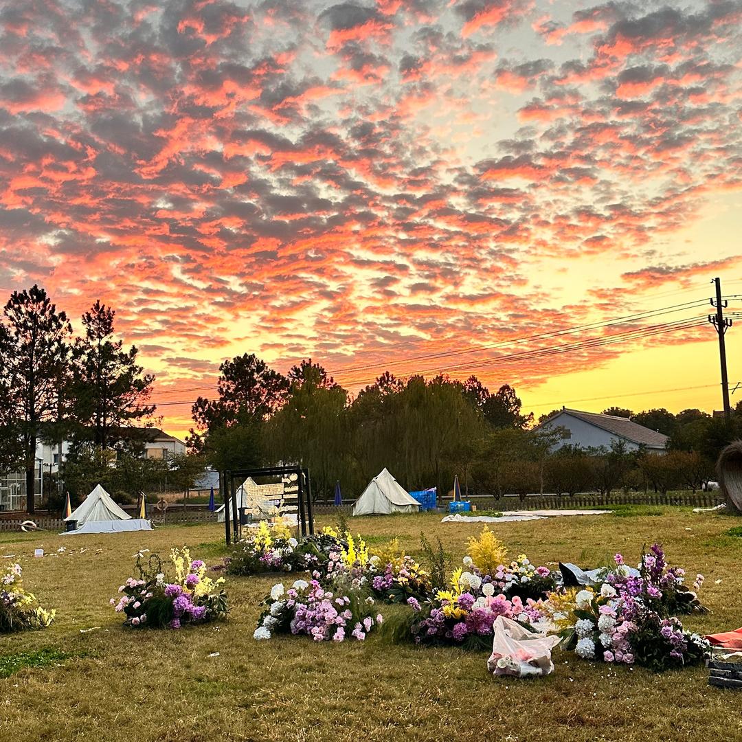 ‍    🌈🌈 陈心如意