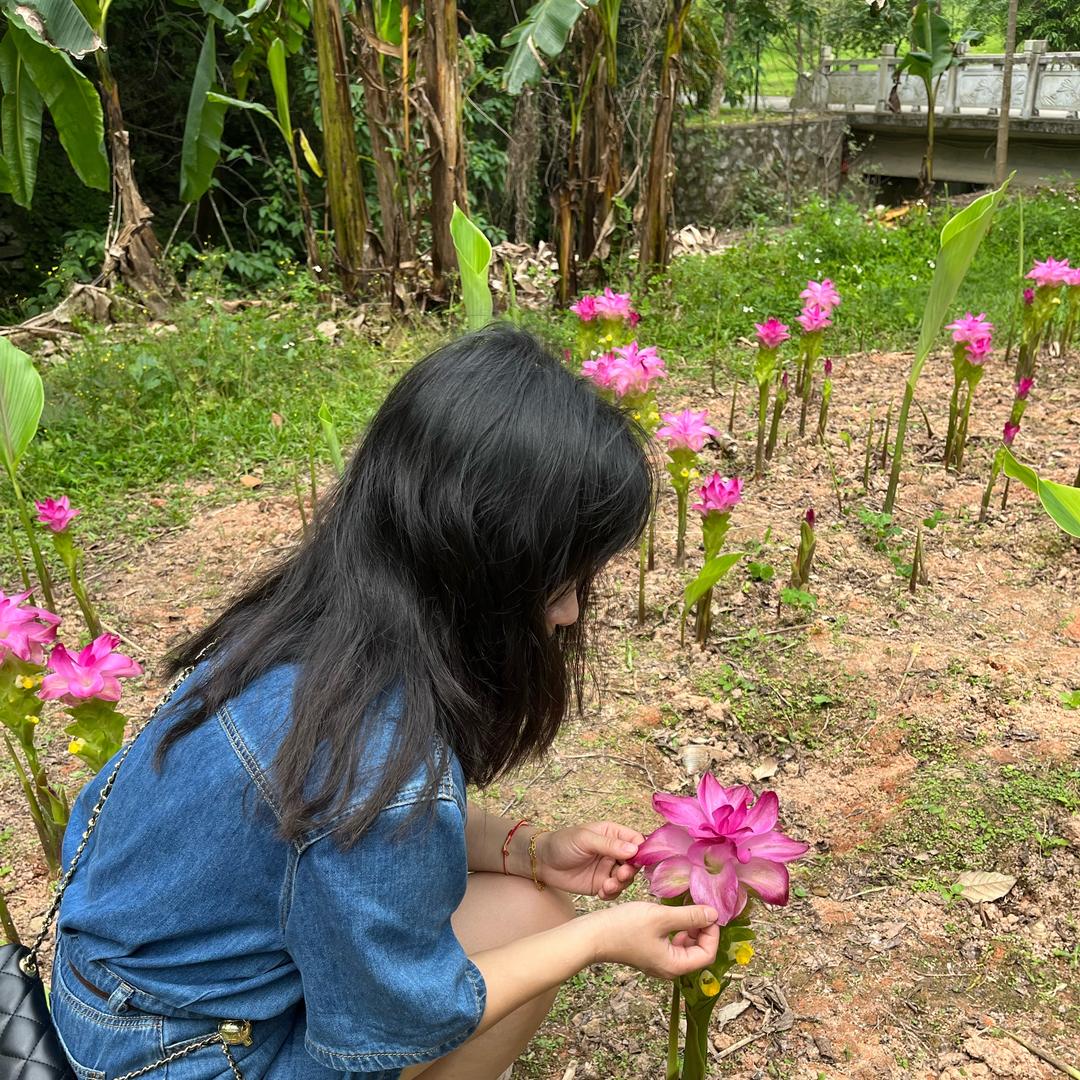 佳佳佳佳姐🌺