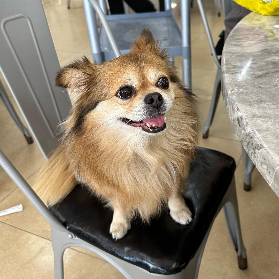 COCO