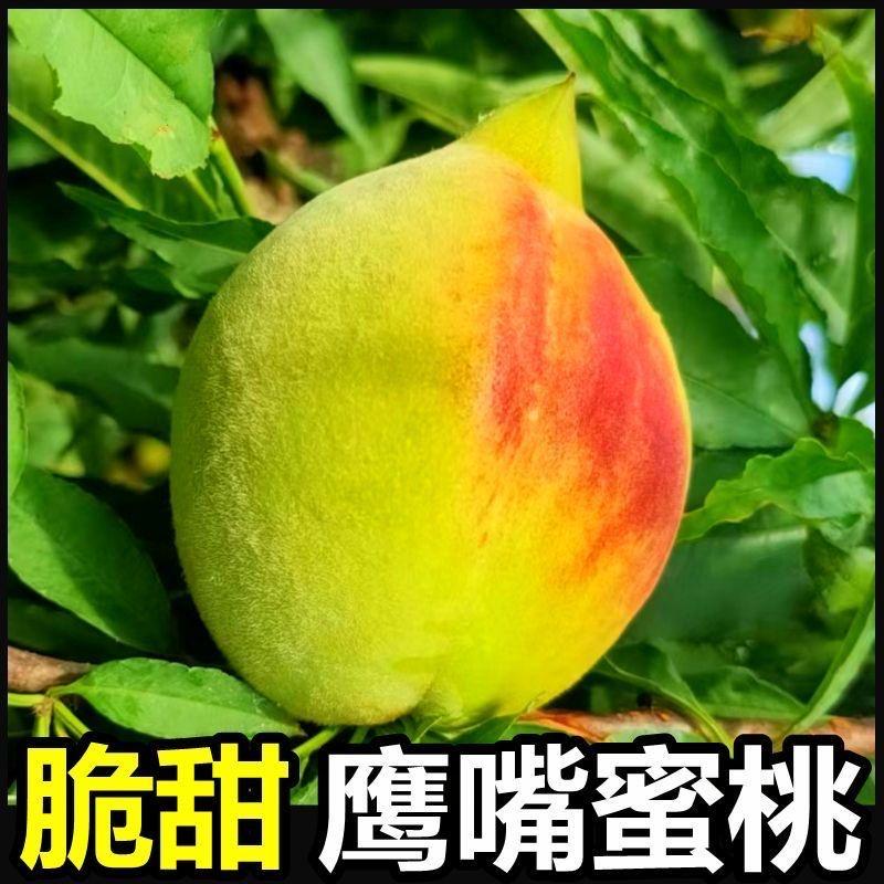 鲜生果然