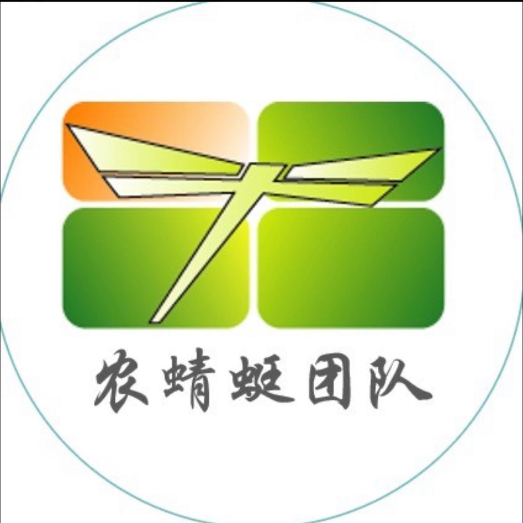 农蜻蜓