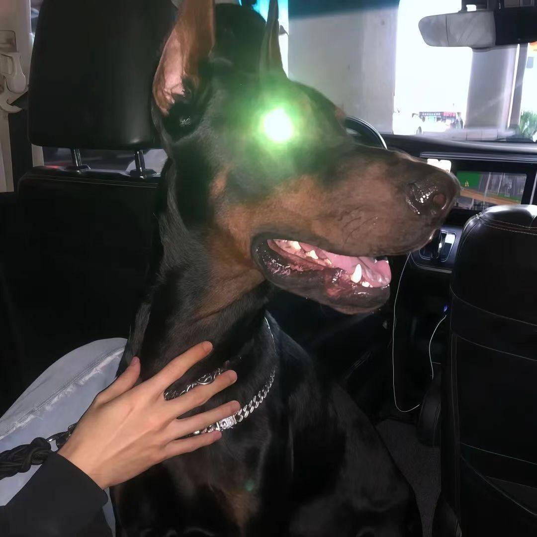 扎Q