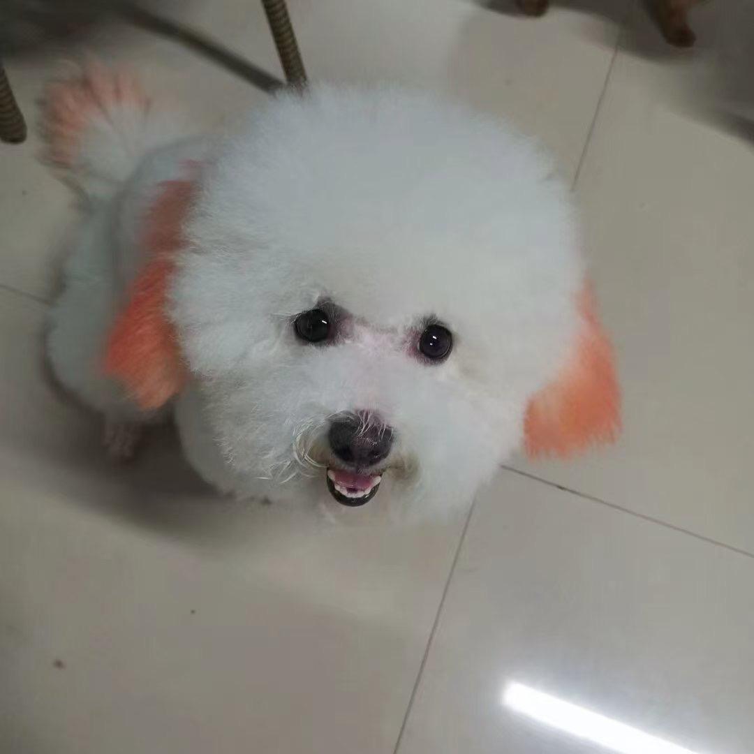 用户