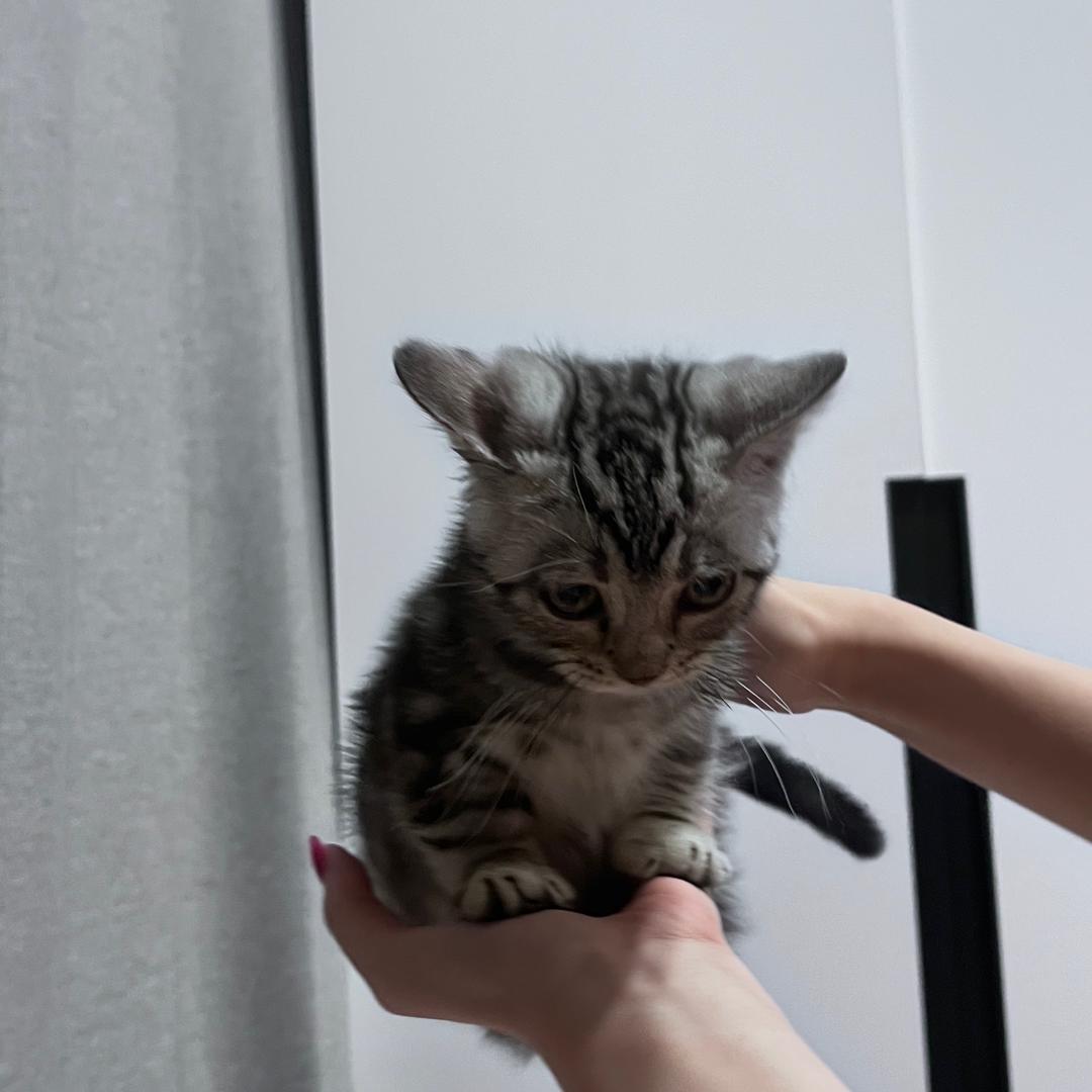 oi