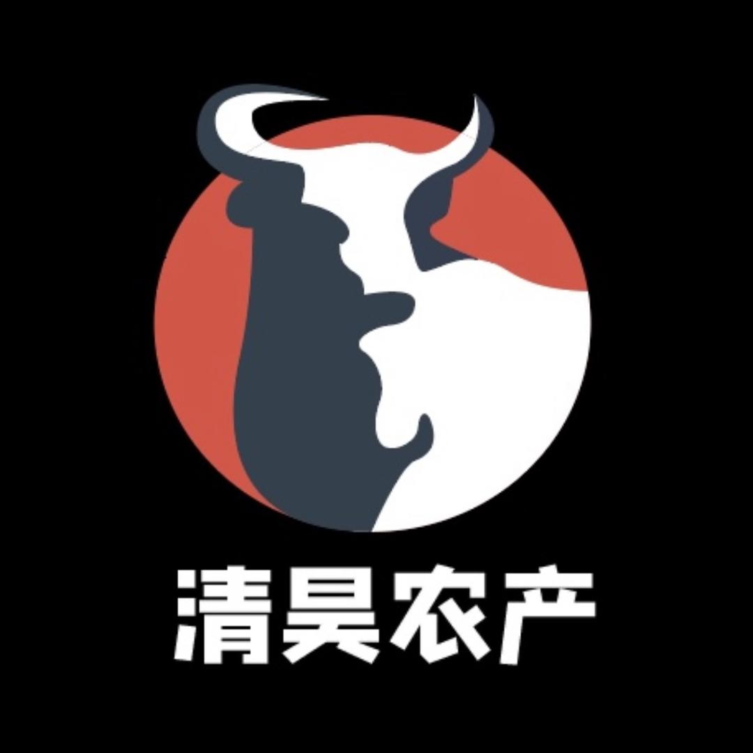 清昊牛肚