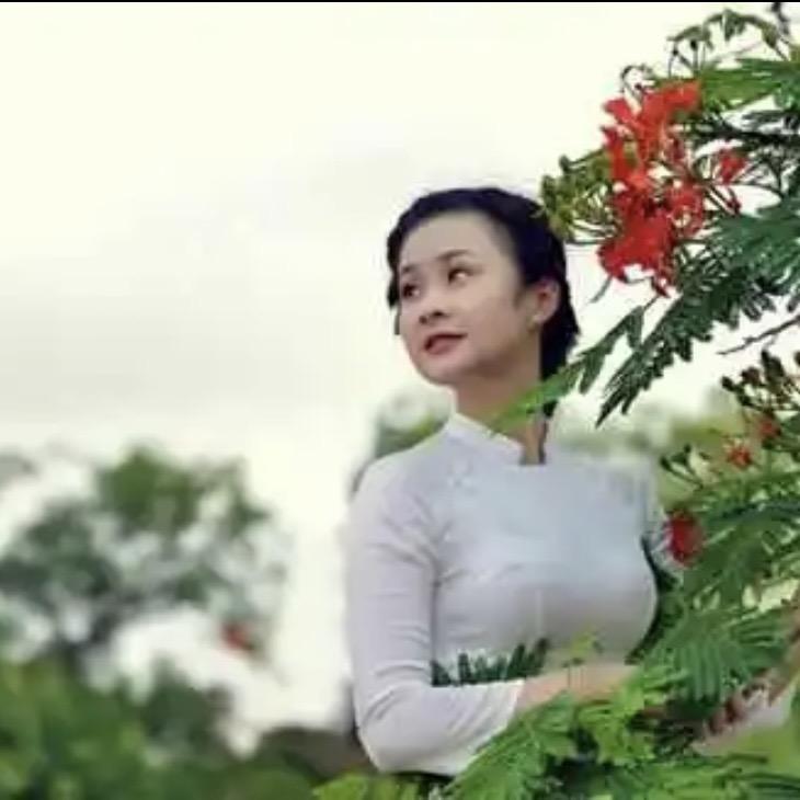 七七好物推荐