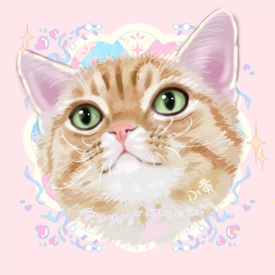 江苏小孙的德文世界🌍