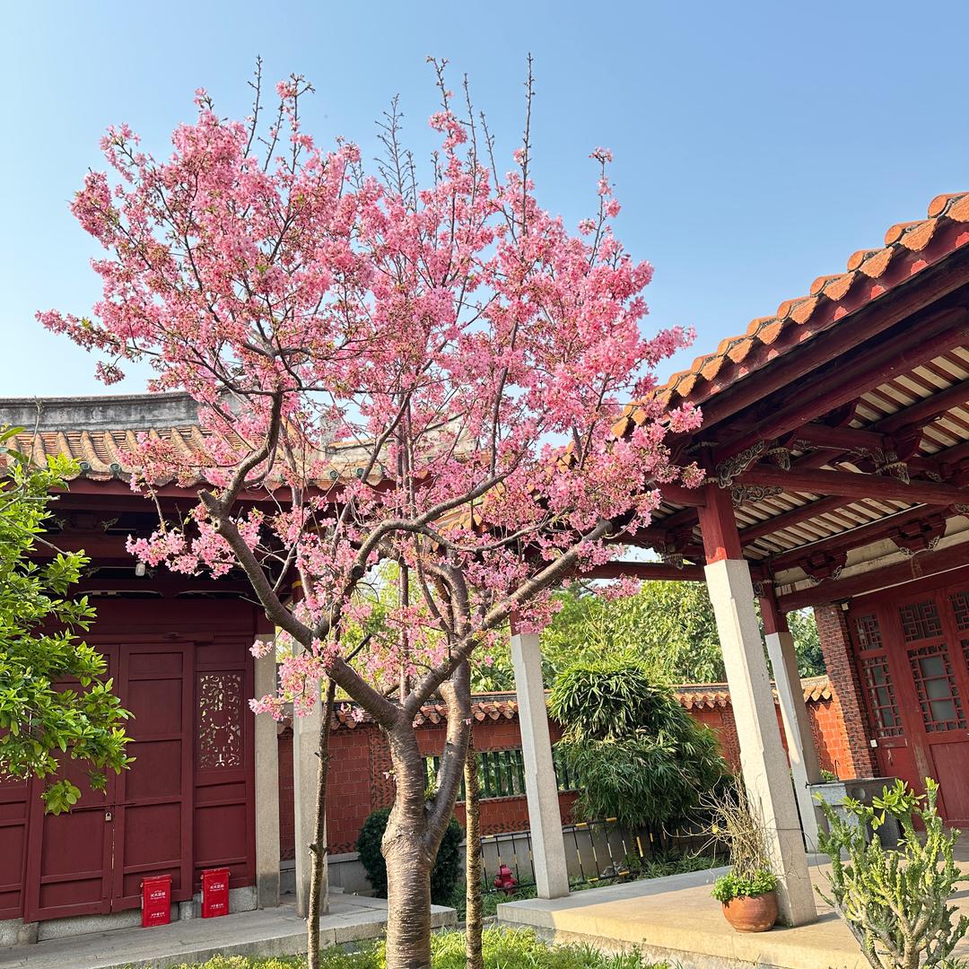陈同学