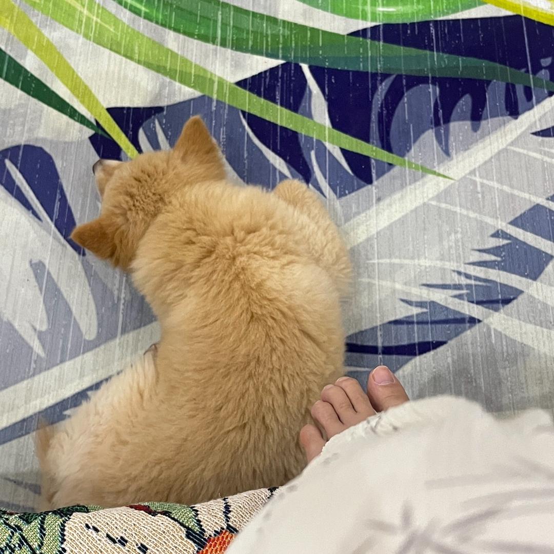 小王下午1点53首播