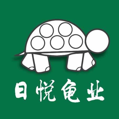 老梁的龟宠世界
