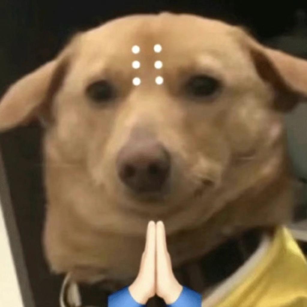 只在地球呆几天
