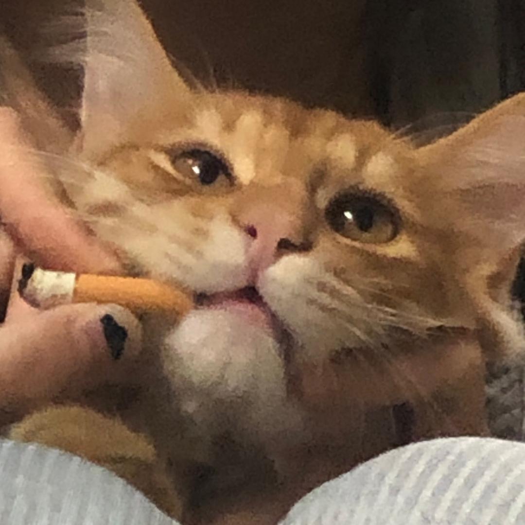 蟹蟹蟹谢老板