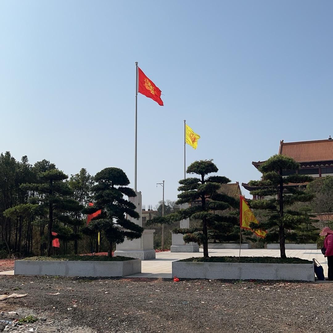 荥阳東🌅