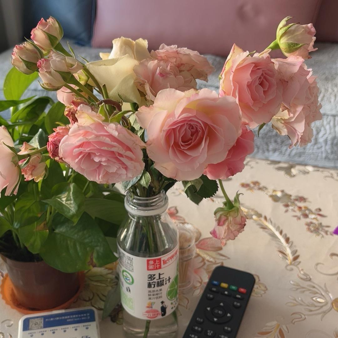 曲靖二手车小陶