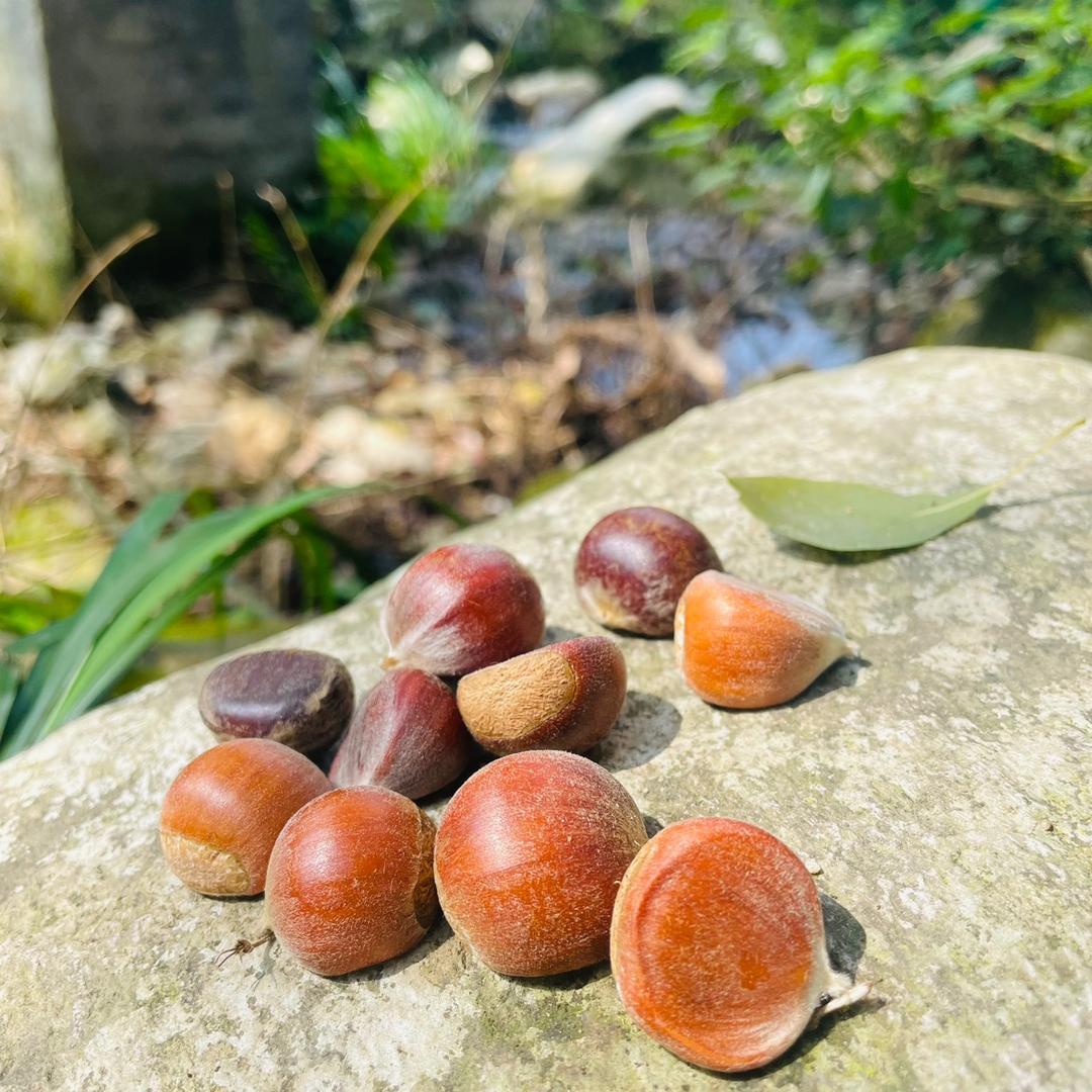 麦芽糖糖糖🍬