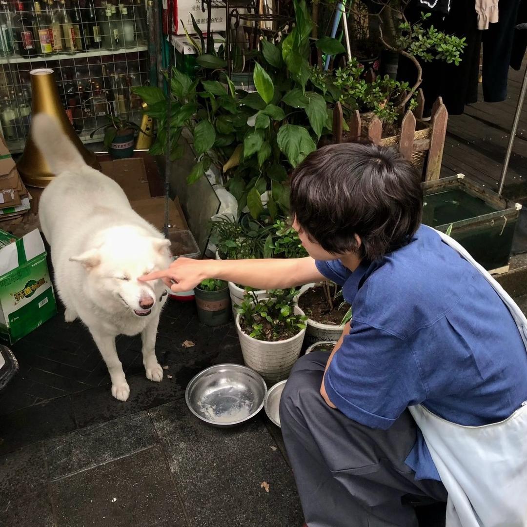 新一.