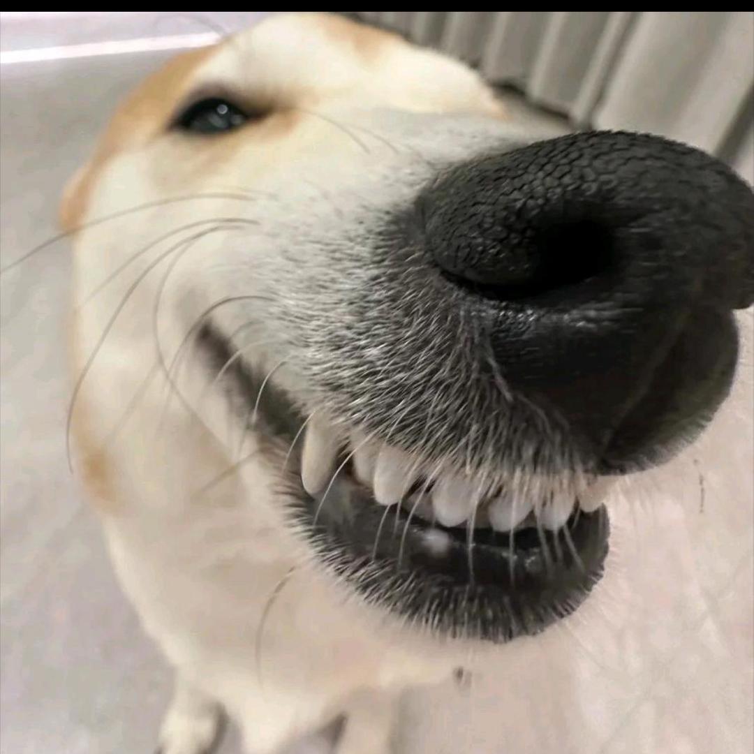 迟早饿死在浙江