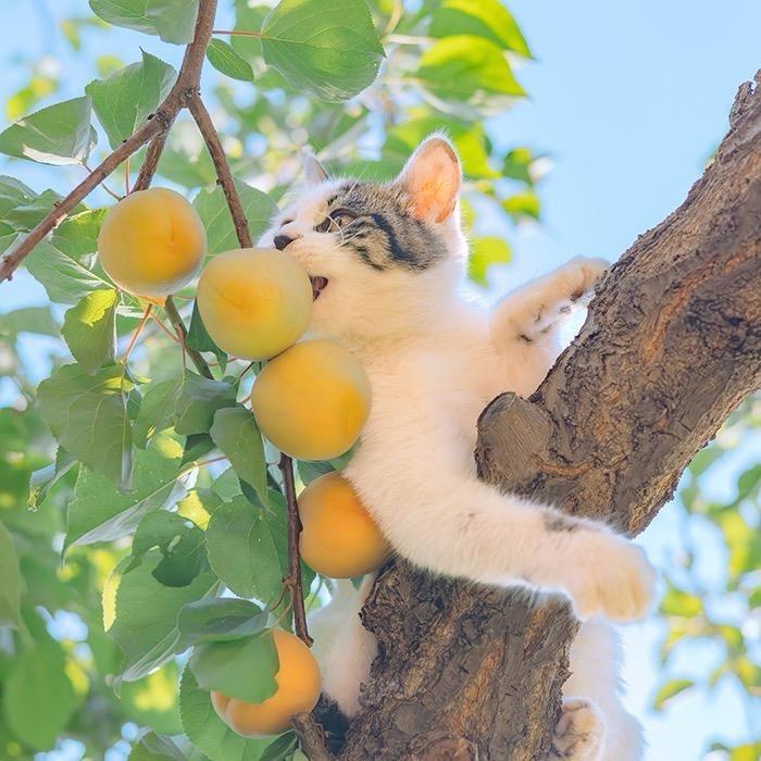 🕊ღ᭄ꦿ꯭无敌ღ小神马🐎꧔ꦿ᭄ 🕊