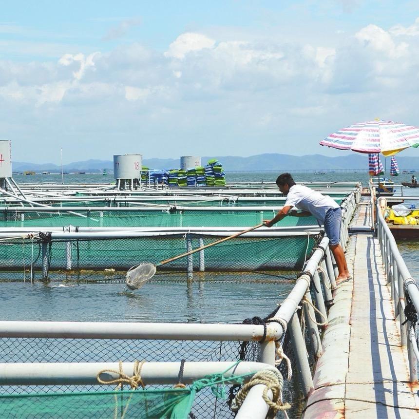 忆江南农资渔网