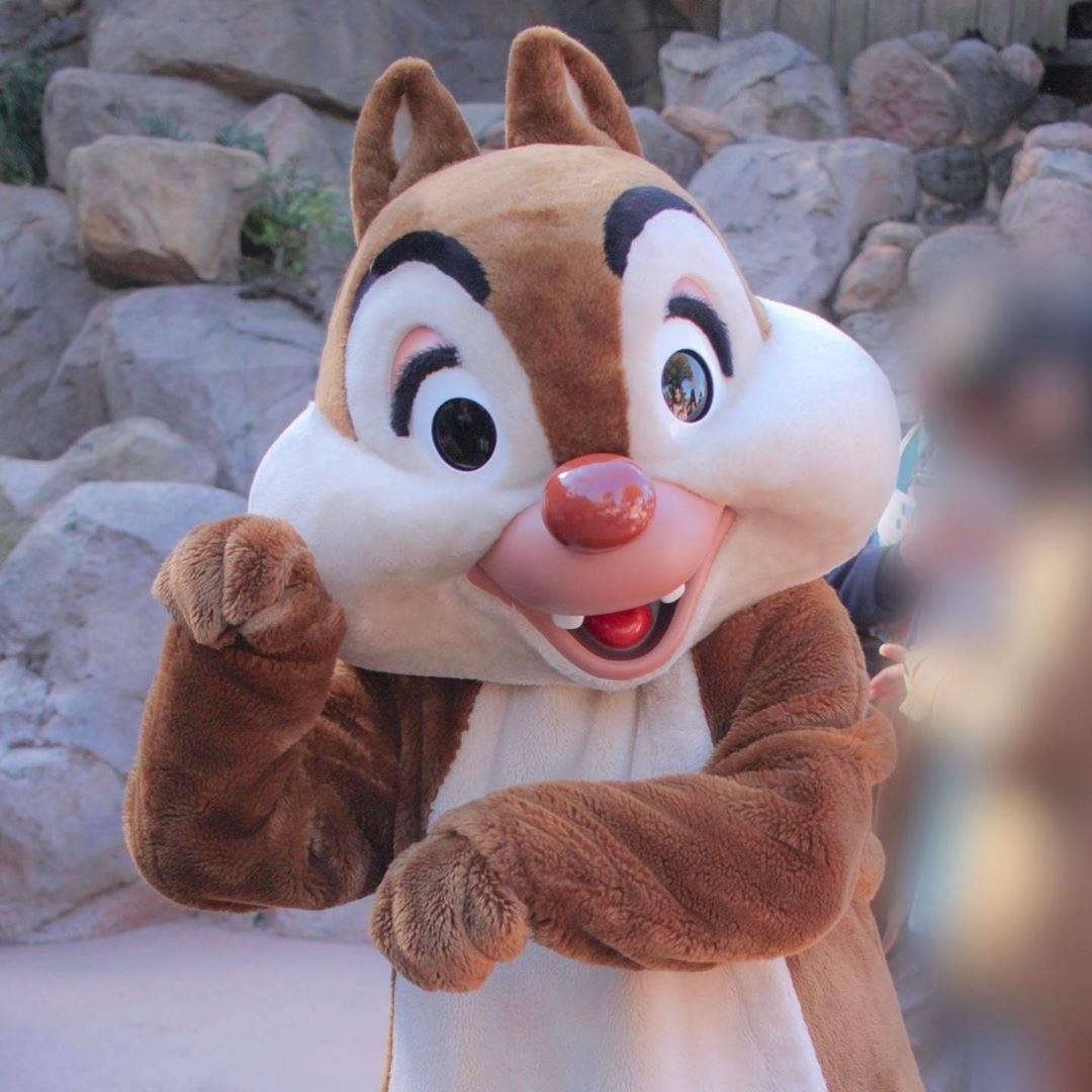 小芒美迪东迪中古玩具屋