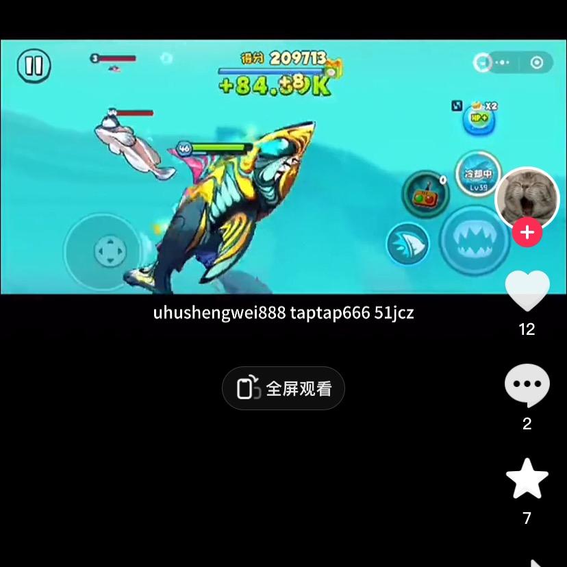 爱玩游戏的鲨鱼