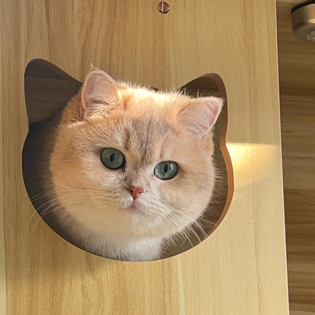 李妙妙（小名🍇）