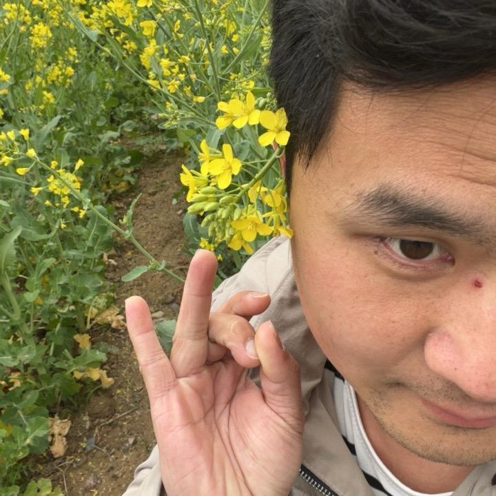 -小辉