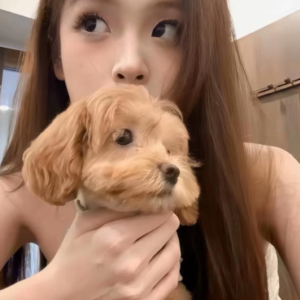 灰·