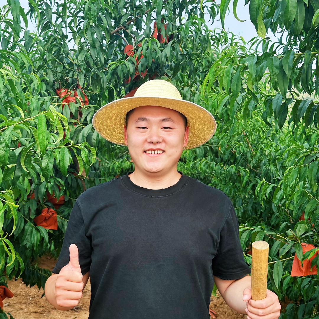 臻寰农业绿色优品店