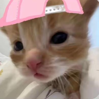 哪又咋了
