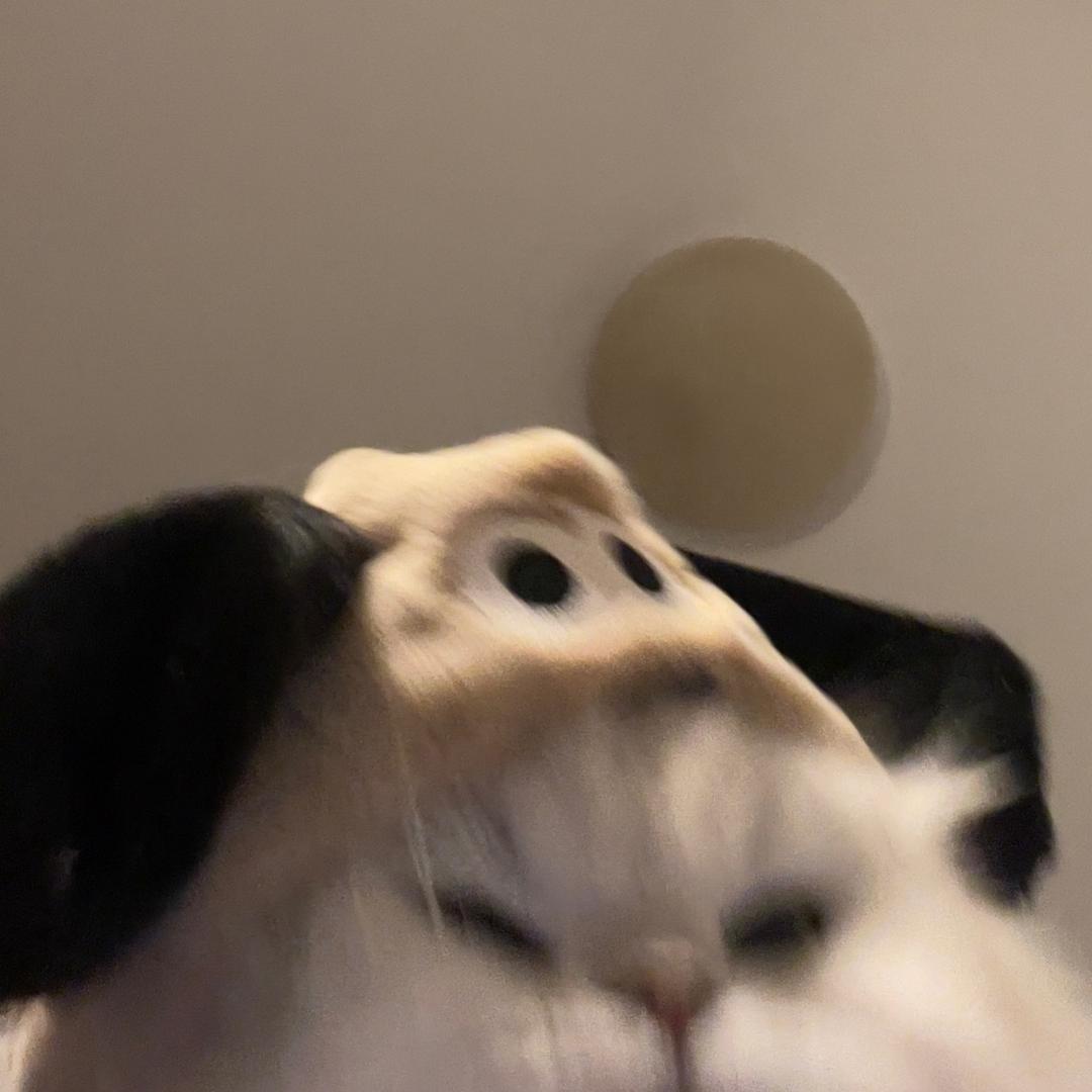 .