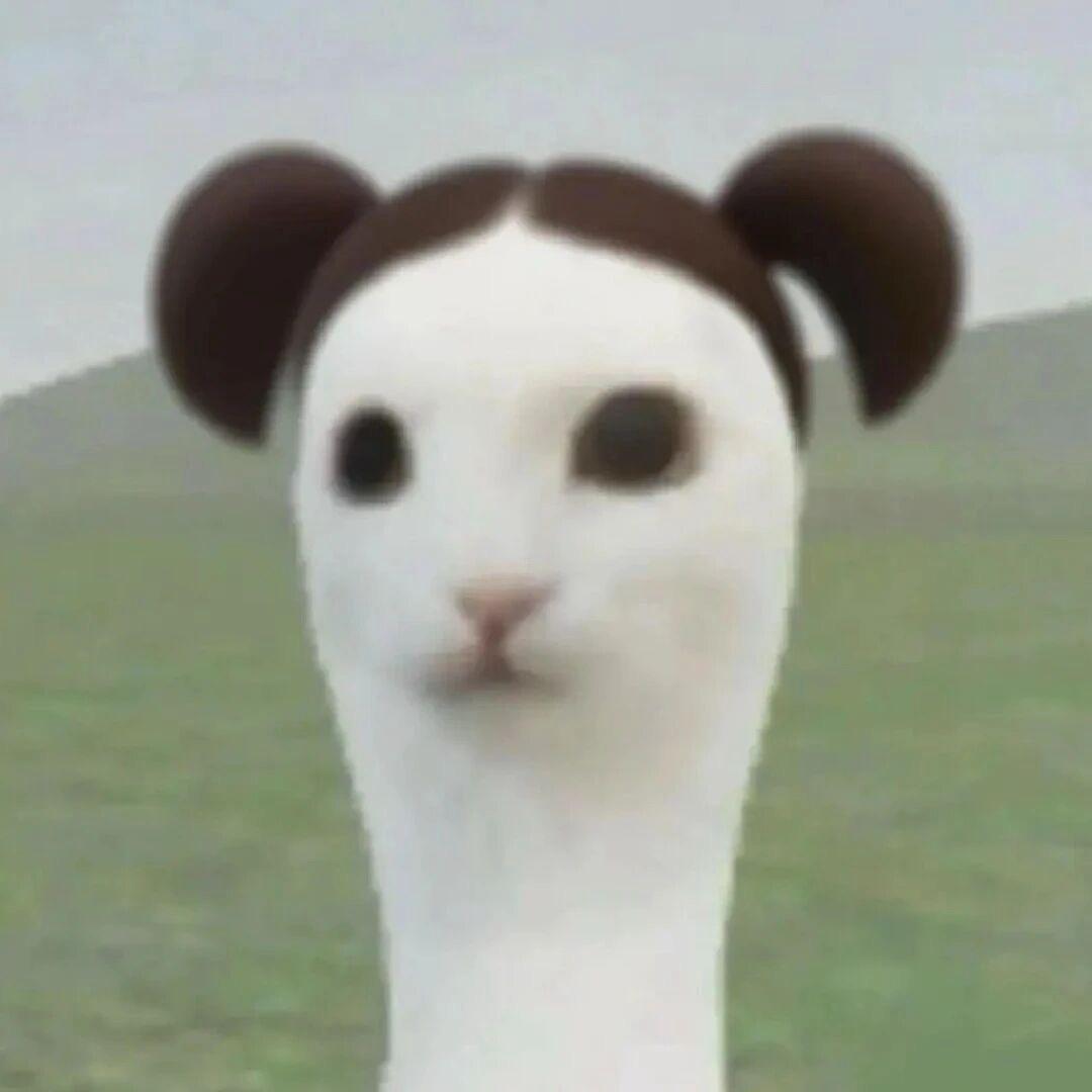 牛战士（减脂版）